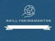 Logo de Agill Treinamentos Online Logo de Agill Treinamentos Online